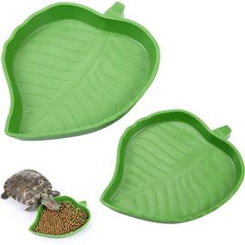 Reptile Tortue Eau Plat Bol à Nourriture Piscine pour Tortue Reptiles Gecko  Serpents Goutte Livraison