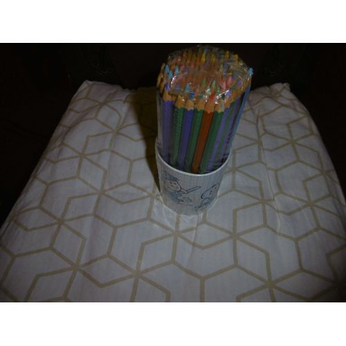 Pot De 72 Crayons Couleurs Assorties Omya