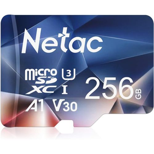 256 Go SDXC Carte Mmoire Micro SD pour Switch,Appareil Photo,Smartphone,PS Vita,PS4 Pro,Go Pro (UHS-1 A1 V30 U3 C10 4K UHD)