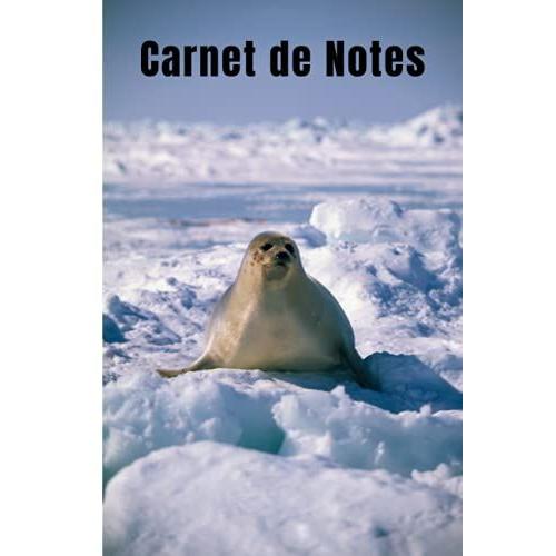 Carnet De Notes: Phoque Cahier De Brouillon Petit Format Pas Cher 100 Pages Lignées Couverture Souple Pour Les Amoureux Des Animaux Ecole College ... Cadeau Anniversaire Original Femme Homme