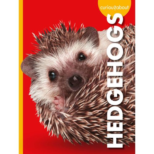 Curious About Hedgehogs