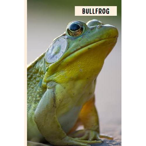 Bullfrog: Perfect Bullfrog Journal For Memories And Notes , Bullfrog Notebook ( 110 Pages, 6x9 )