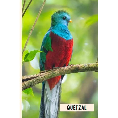 Quetzal: Composition Notebook For Quetzal Lovers , Quetzal Lined Journal ,6x9 Inches , 110 Pages ,Quetzal Diary