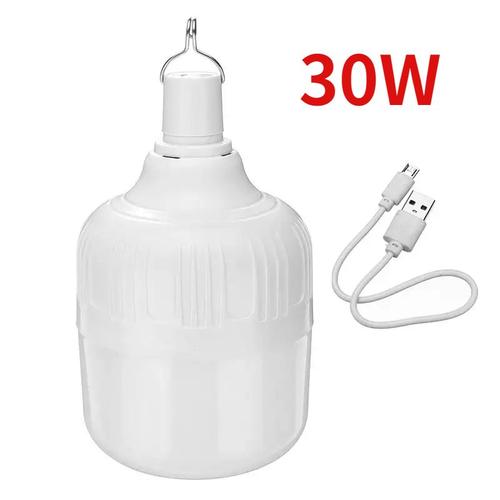 30w - Ampoule Led Portable Rechargeable, Éclairage D'extérieur, Jardin, Pêche, Camping, Haute Puissance