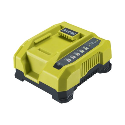 Chargeur 36V rapide 6,0 A - RY36C60A