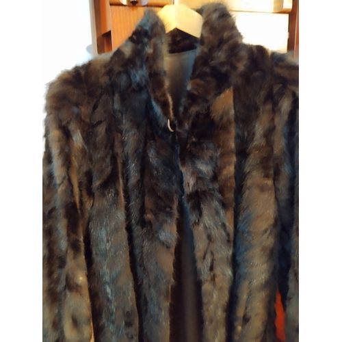 Manteau Vison