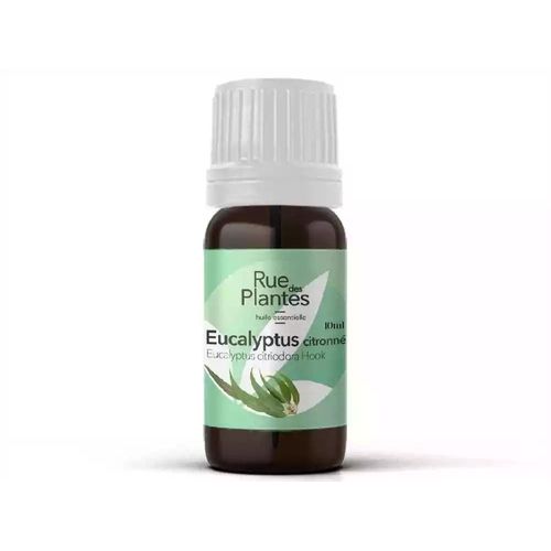 Huile Essentielle Eucalyptus Citronné Bio 10ml 