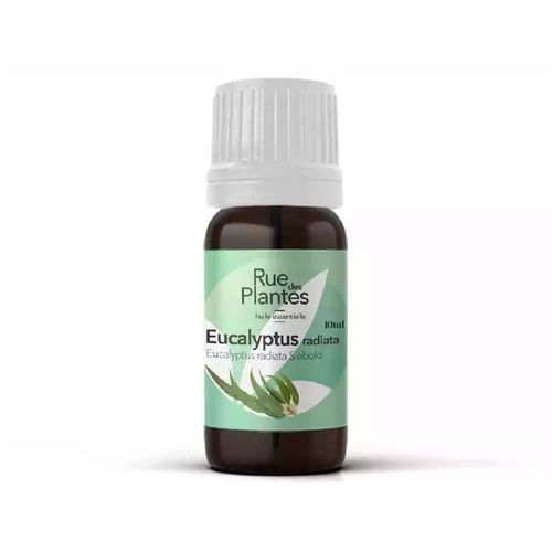 Huile Essentielle Eucalyptus Radiata Bio 10ml 