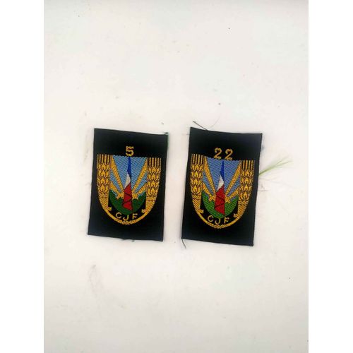 Militaria-Ww2-Régime De Vichy-Insignes Tissu Des Chantiers De La Jeunesse Groupe 5 Et 22-Originaux