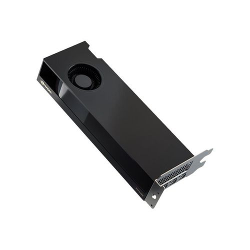 NVIDIA RTX A2000 - Carte graphique - RTX A2000 - 12 Go GDDR6 - PCIe 4.0 x16 - 4 x Mini DisplayPort