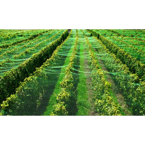 Filet De Bassin 12 M X 12 M Filet À Feuilles, Filet De Silo, Filet De Protection Contre Les Feuilles, Filet De Protection Contre Les Oiseaux, Protection De Bassin De Jardin