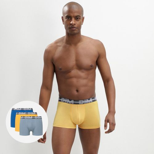 Lot De 3 Boxers Coton Stretch Ceinture Graphique Bleu Dim Powerful