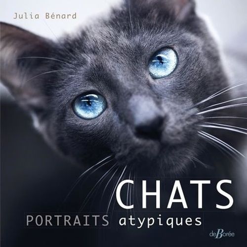 Chats - Portraits Atypiques