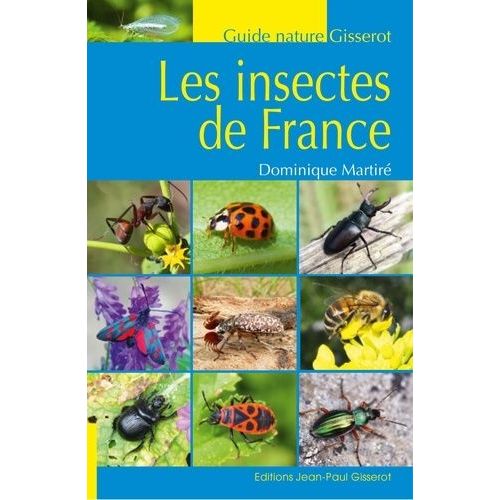 Insectes De France