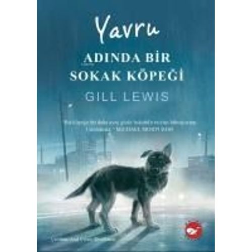 Yavru Adinda Bir Sokak Köpegi