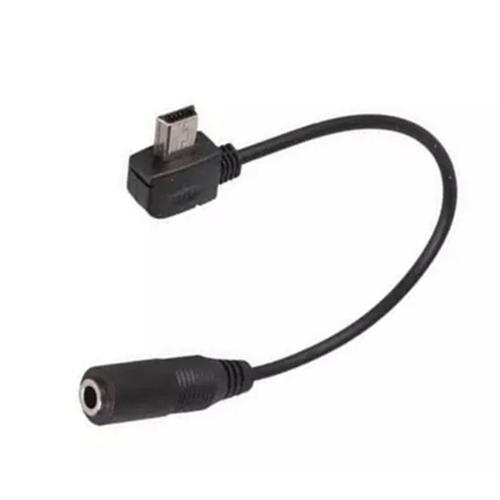 GoPro Adaptateur de micro 3,5 mm