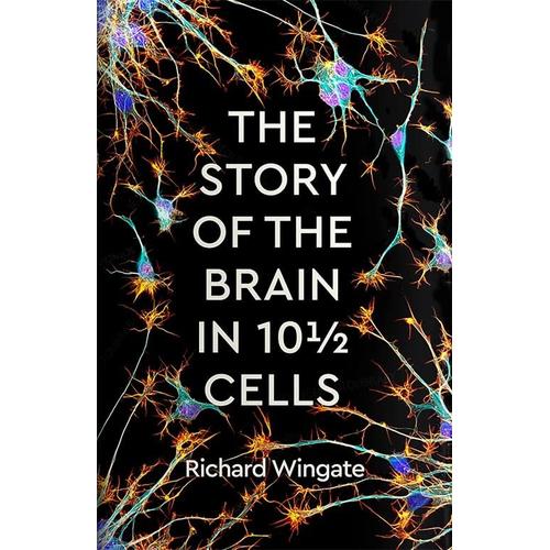 The Story Of The Brain In 10? Cells