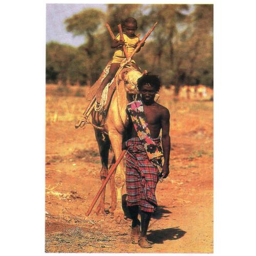 Carte Postale  Annee 2016 - Theme Pays D'afrique - Ethiopie - Afar Man -