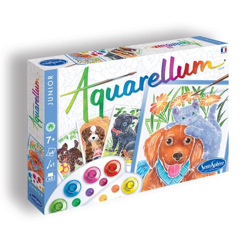 Aquarellum Aquarellum Junior - Chiots