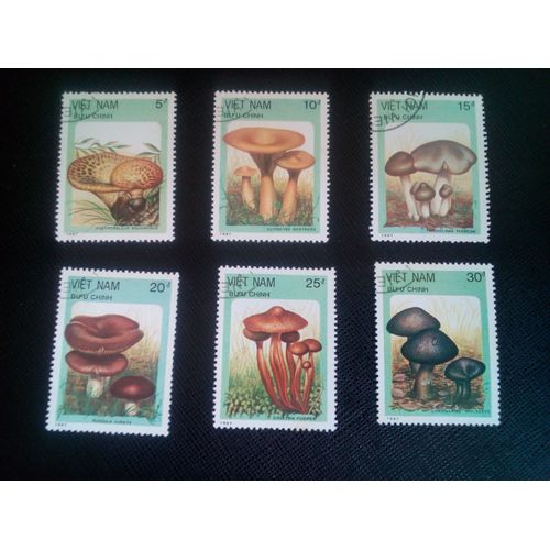 Timbre Vietnam Y T 848 A 853 Champignons 1987 ( 020607 )