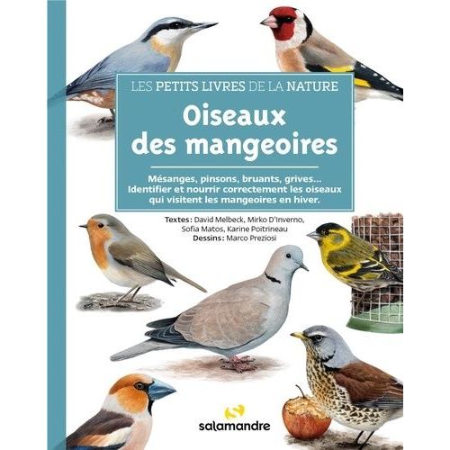Oiseaux Des Mangeoires