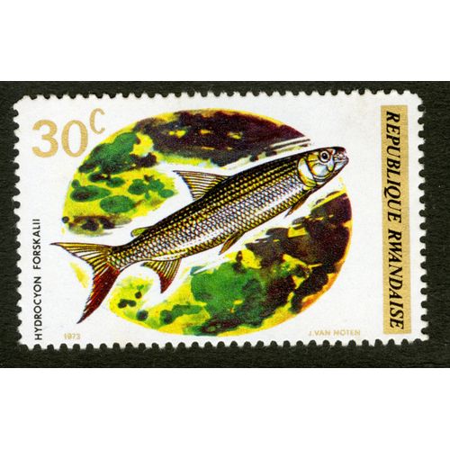 Timbre Non Oblitéré République Rwandaise, Hydrocyon Forskalii, 30 C, 1973