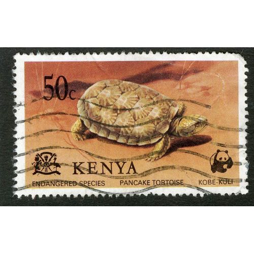Timbre Oblitéré Kenya, Endangered Species, Pancake Tortoise, Kobe-Kuli, 50 C