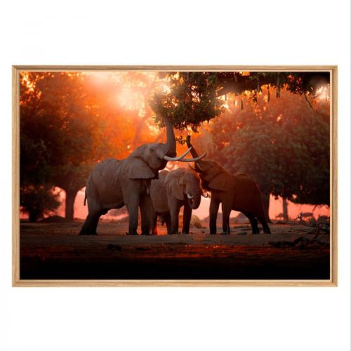 Tableau mural mat encadré famille elephant 65x97 cm