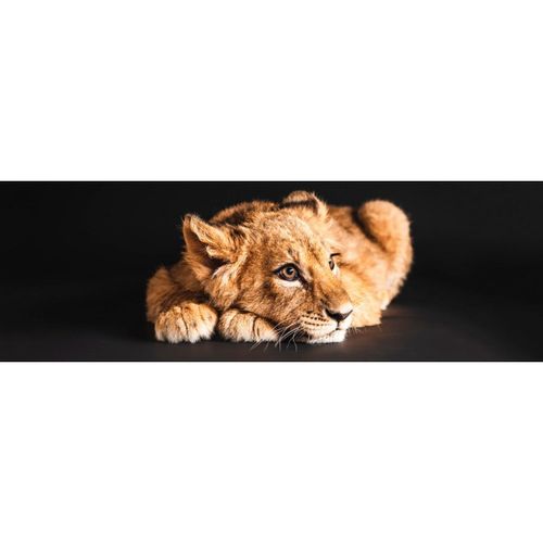 Tableau sur toile lionceau 30x97 cm