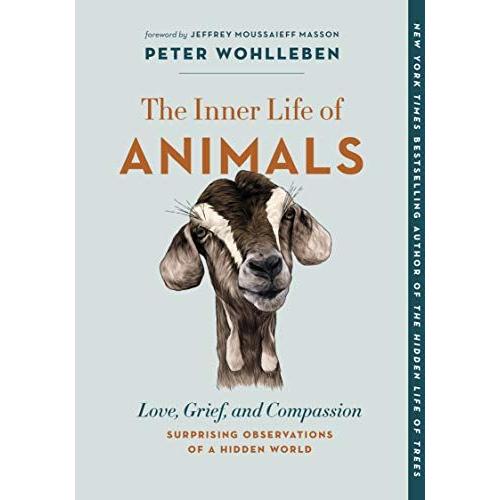 The Inner Life Of Animals