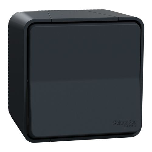 Va-et-vient MUREVA STYL saillie connexion automatique IP55 - SCHNEIDER ELECTRIC - MUR35021
