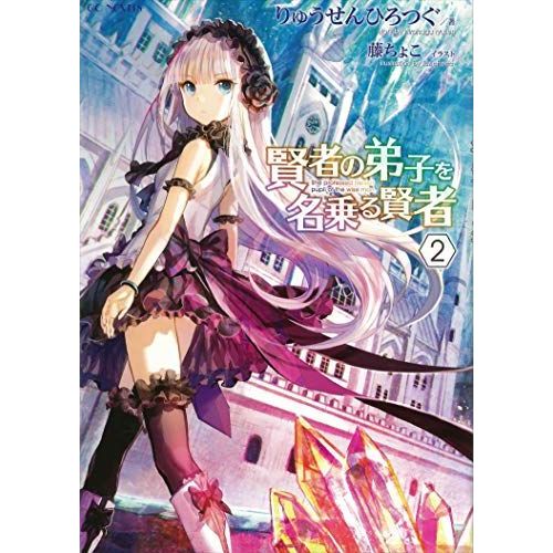 She Professed Herself Pupil Of The Wise Man (Light Novel) Vol. 2