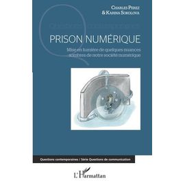 Prison Num&eacute;rique - Mise En Lumi&egrave;re De Quelques Nuances Sombres De Notre Soci&eacute;t&eacute; Num&eacute;rique