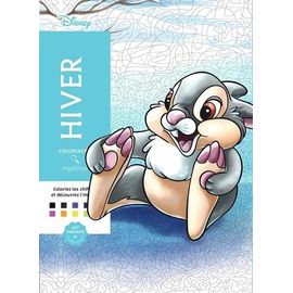 Hiver Disney