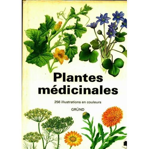 Plantes Médicinales