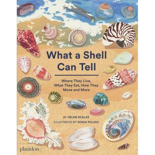 What A Shell Can Tell - Where They Live, What They Eat, How They Move And More