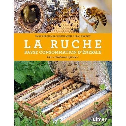 La Ruche Basse Consommation D'énergie - Une "Révolution Apicole