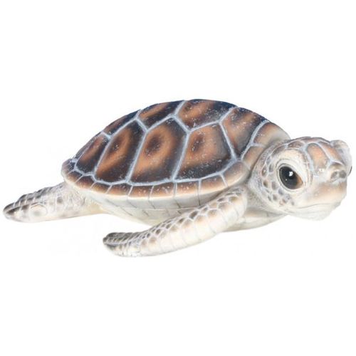Bébé Tortue Marine En Résine
