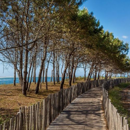 Tableau sur toile chemin d'Arcachon 30x30 cm