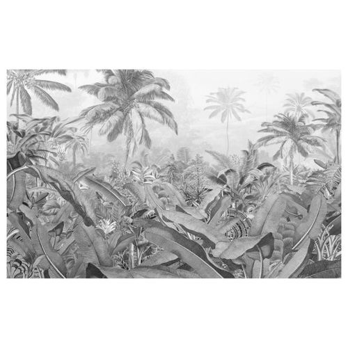 Komar Papier peint photo Amazonia Black and White 400x250 cm