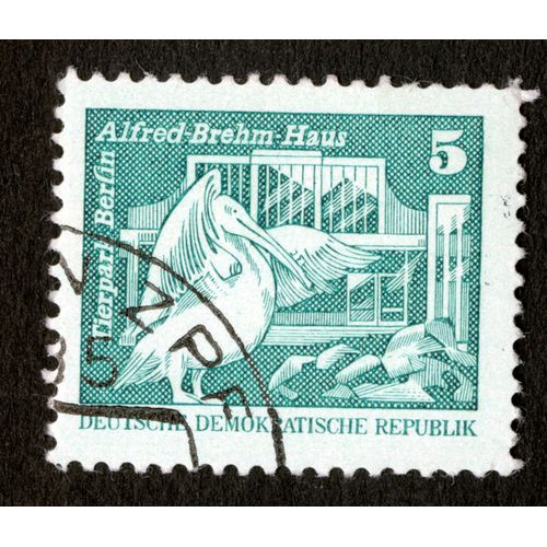 Timbre Oblitéré Deutsche Demokratische Republik, Tierpark Berlin, Alfred-Brehm Haus, 5