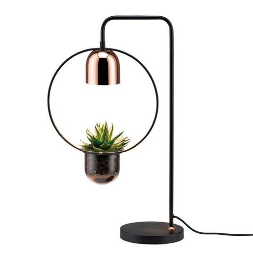 Paulmann Lampe À Poser Fanja Avec Pot De Fleur