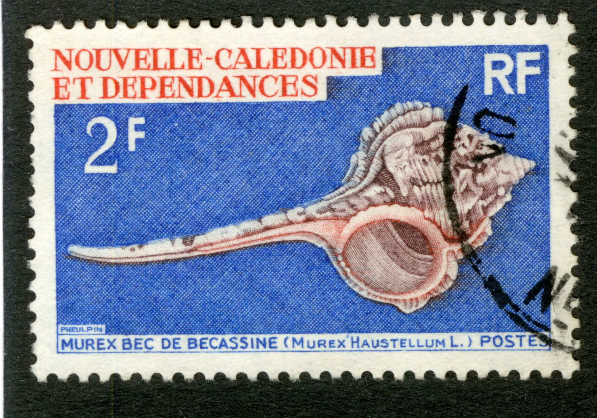 Timbre Oblitéré Nouvelle Calédonie Et Dépendances, 2 F, Rf, Murex Bec De Becassine, Murex Haustellum L., Postes