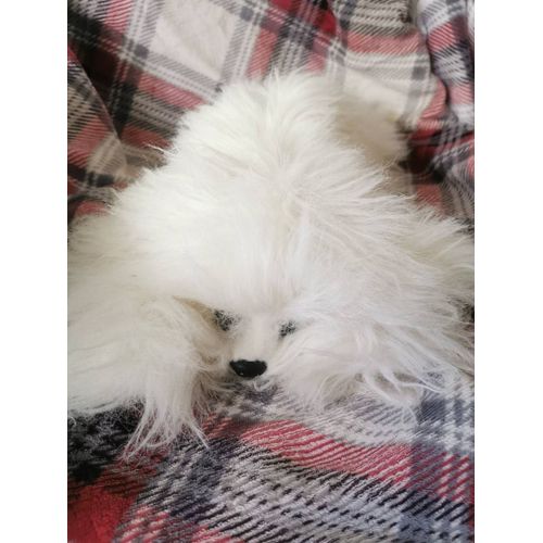Doudou Peluche Chien Blanc Poils Longs Comme Pollux Lhassa Apso Anna Club Plush 1988 Vintage