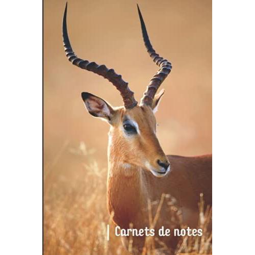 Carnet De Notes Antilope: 100 Pages Lignées Au Format A5 Pour Noter Toutes Vos Pensées