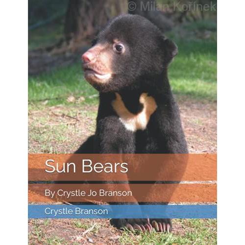 Sun Bears: By Crystle Jo Branson