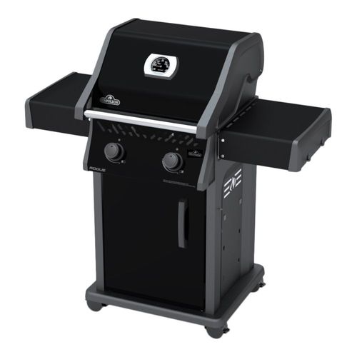 Barbecue gaz NAPOLEON Rogue 2 bruleurs R365PK-1-FR
