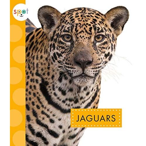 Jaguars
