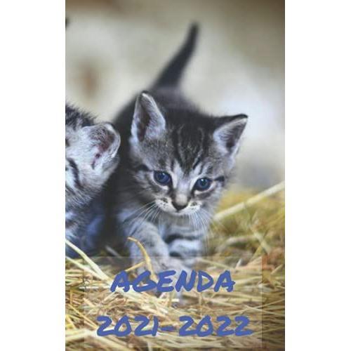 Agenda Chaton 2021 2022: Planificateur Journalier Et Semainier | Septembre 2021 À Septembre 2022 | Format Idéal Pour Emmener En Cours