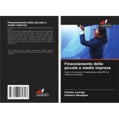 Finanziamento Delle Piccole E Medie Imprese
